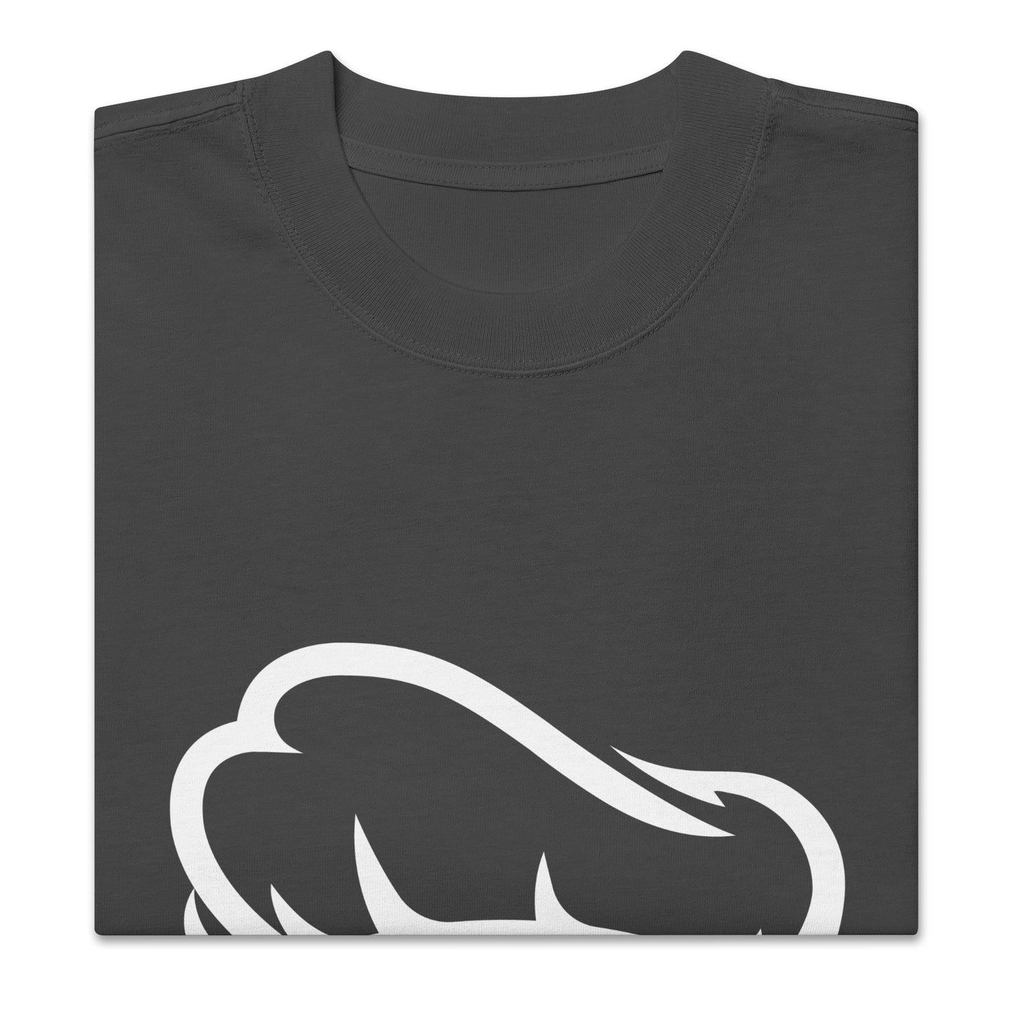Schieff Oversized Faded Tee